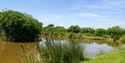 Pen-y-Clawdd Farm Fishery