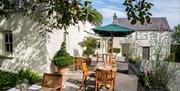 The Walnut Tree