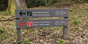 Natural Resources Wales sign post pointing to trails, Manor Brook Leap and Manor Wood Walk