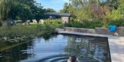 Swimmer in natural pool