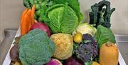 veg box with season vegetables from