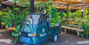 Millbrook Garden Centre near Monmouth  plants in greenhouse