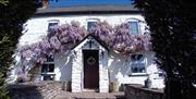 The Halfway Tal-y-coed outside of pub showing old stone brick building and beautiful flowers growing up the side