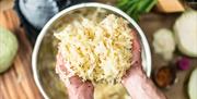 Fermentation Workshop