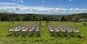 Penhein Weddings