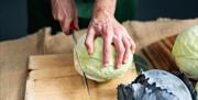 Fermentation Workshop