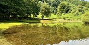 @shirls_lawton Punchbowl