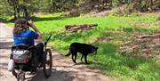 wheelchair ramble Trellech Common bird watching crop