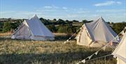 Wilder Away Days bell tents in countryside in wales monmouthshire
