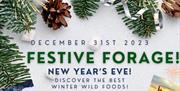 Festive Forage with wild sips & nibbles!