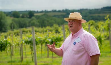 White Castle Vineyard Tour with Robb Merchant