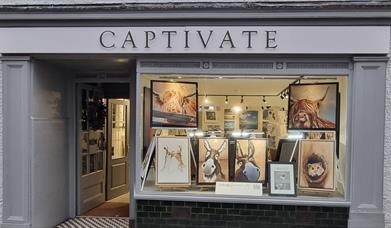 Captivate Gallery