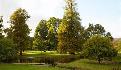 Llanover Lake