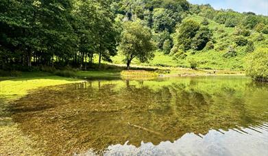 @shirls_lawton Punchbowl