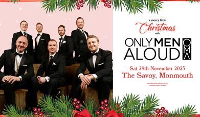 A Merry Little Christmas