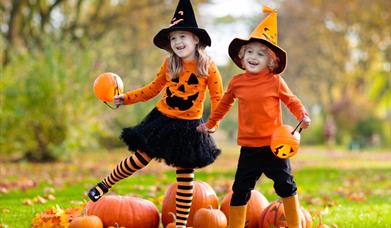 Children holding pumpkins in field