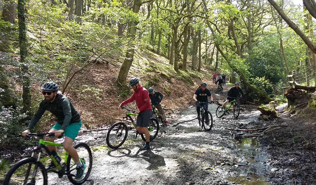 Cycling tours with Treads & Trails
