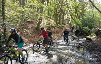 Cycling tours with Treads & Trails