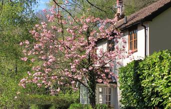 Spring cottage