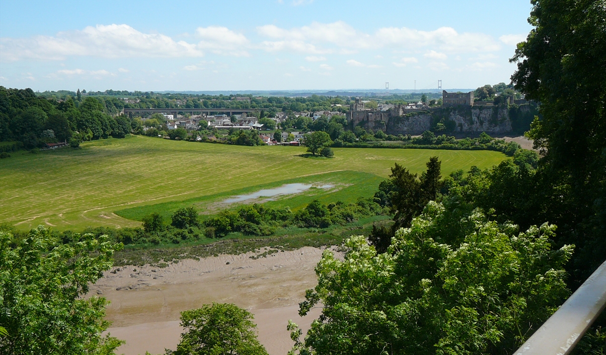 The Alcove Viewpoint