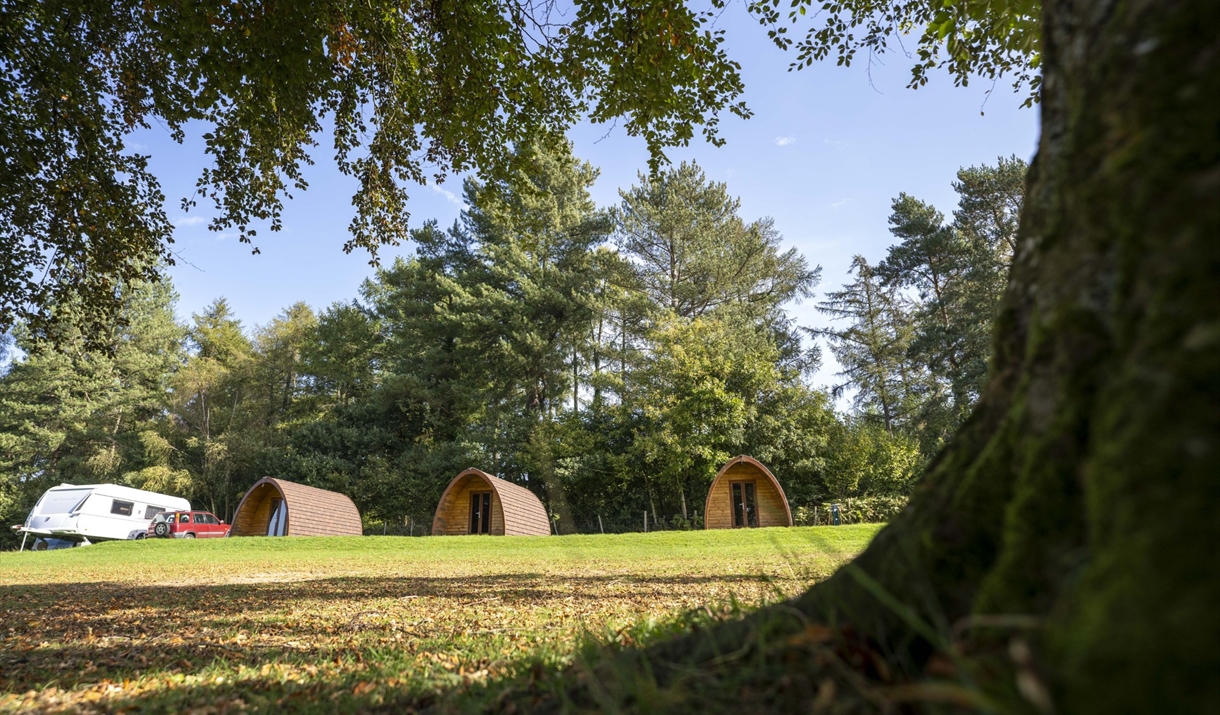 Bracelands campsite, grass and woodlands with green trees and glamping pods Bracelands campsite, grass and woodlands with green trees and glamping pods