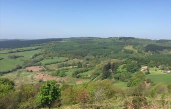View from Gray Hill, Wentwood
