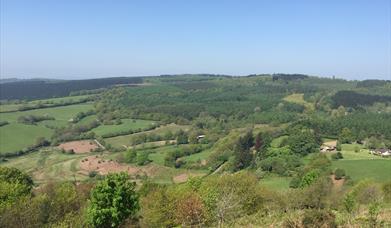 View from Gray Hill, Wentwood