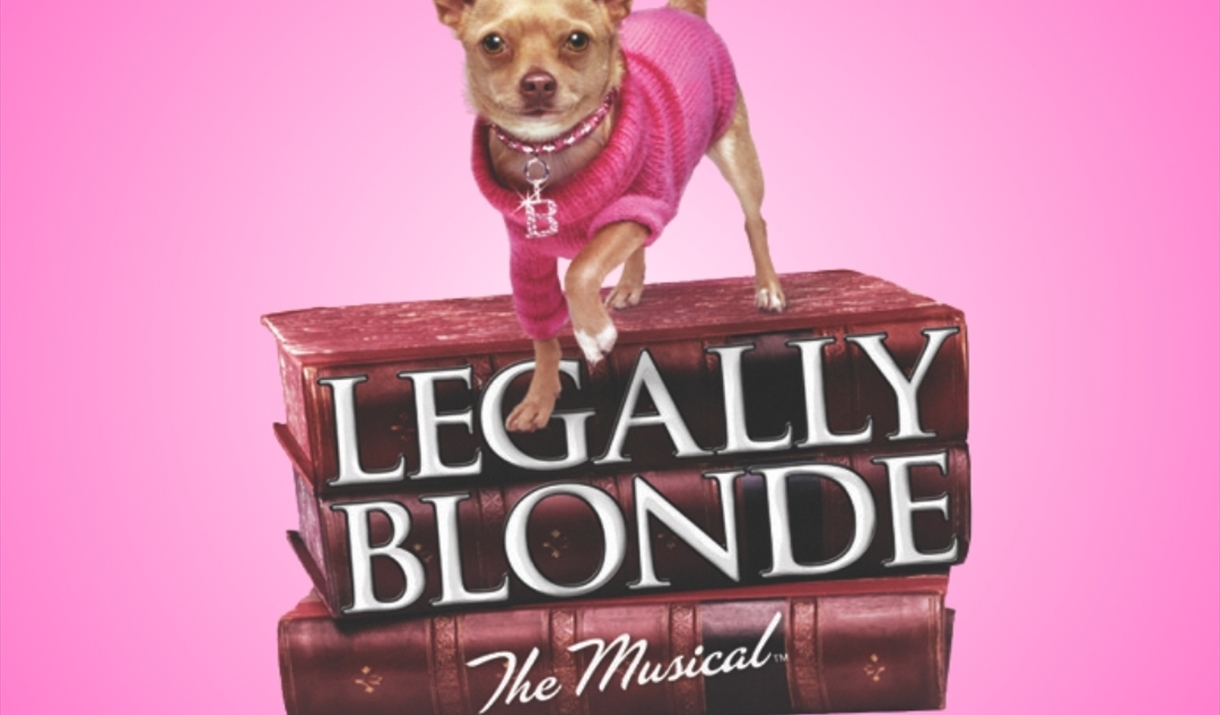 A poster for Monmouth Comprehensive School's production of Legally Blonde A poster for Monmouth Comprehensive School's production of Legally Blonde