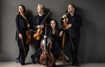 A photograph of the award winning string quartet - The Marmen Quartet