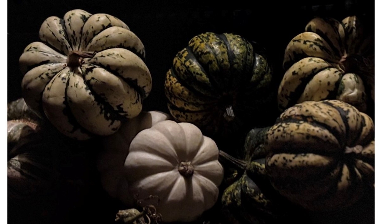 Pumpkins Workshop Abergavenny Pumpkins Workshop Abergavenny