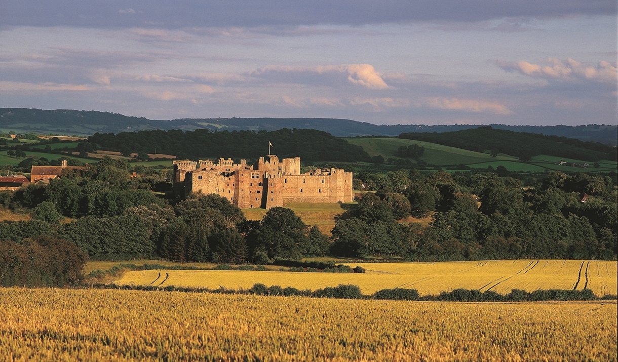 Raglan Castle