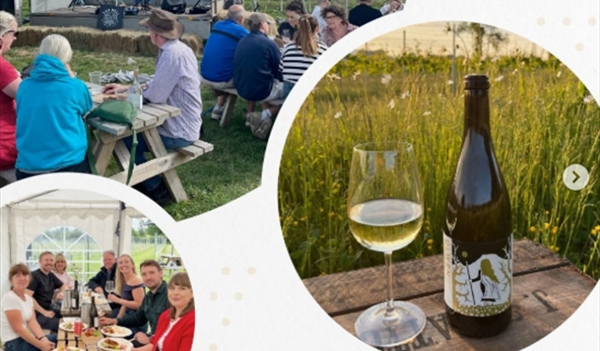 open days 2026 wine, food and live music open days 2026 wine, food and live music