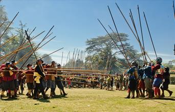 Sealed Knot Battle picture