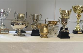 Prize-winners cups