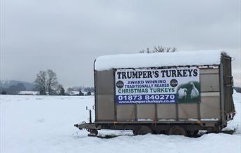 Trumpers Turkeys