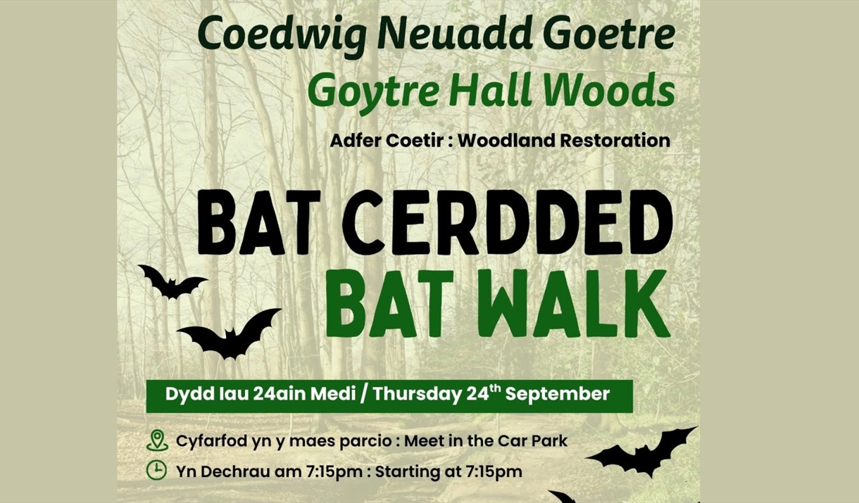 Bat Walk at Goytre Hall Woods
Thursday 24 September
7:15pm
Meet in the car park
Part of the Goytre Hall Woods Woodland Restoration project. Bat Walk at Goytre Hall Woods
Thursday 24 September
7:15pm
Meet in the car park
Part of the Goytre Hall Woods Woodland Restoration project.