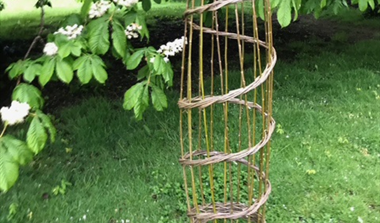 charming willow obelisk made by hand in Catbrook Chepstow, placed in garden with mature trees charming willow obelisk made by hand in Catbrook Chepstow, placed in garden with mature trees