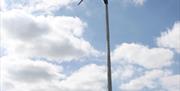 Wind turbine at Black Welsh Lambs