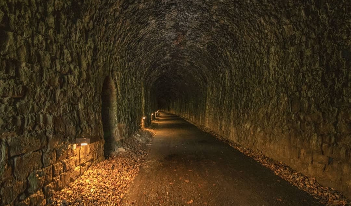 @gjs_jaunts_photography Wye Valley Greenway tunnel