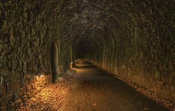 @gjs_jaunts_photography Wye Valley Greenway tunnel