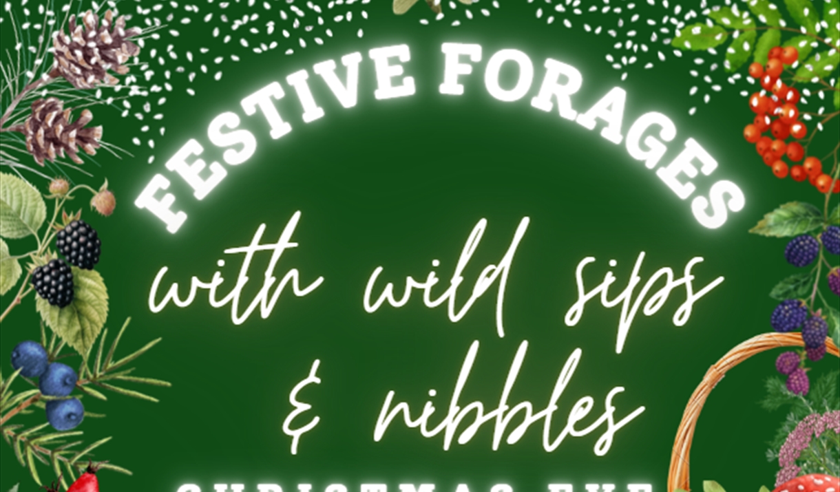 Festive Forages Festive Forages