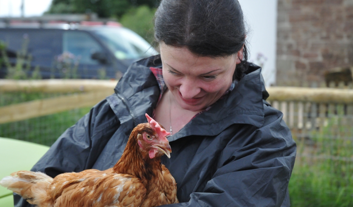 start a smallholding at humble by nature kate humble's farm