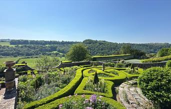 Exclusive Garden Tour for Perennial Charity