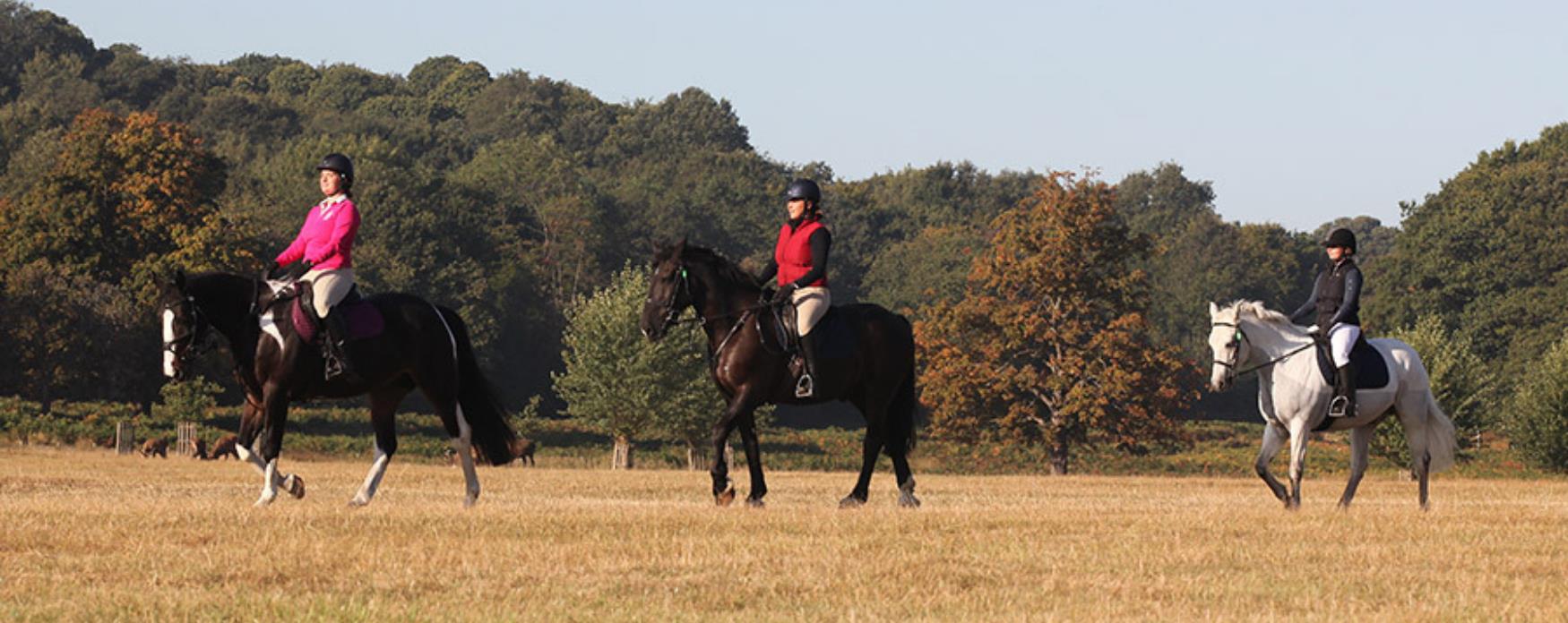 Three girls riding horses in Richmond Park