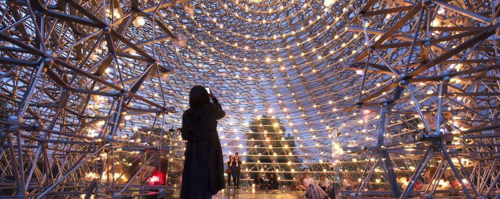 A beautiful picture inside the hive in Kew Gardens