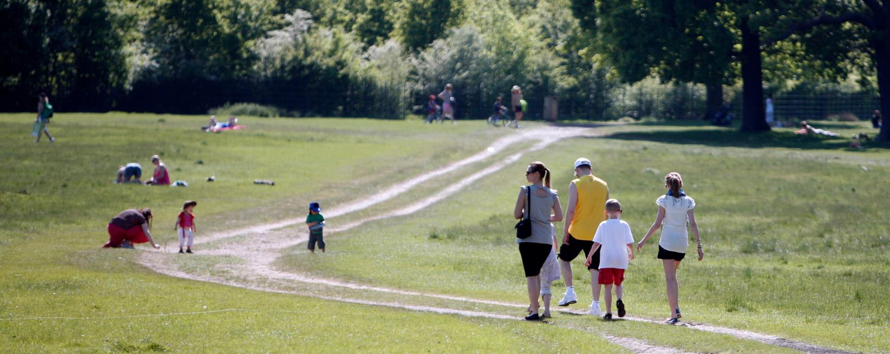 People walking in Richmond Park