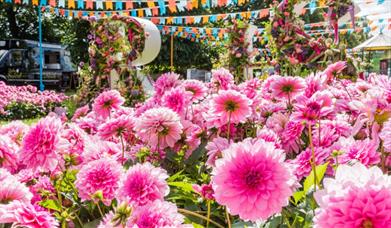 Hampton Court Flower show event pictures