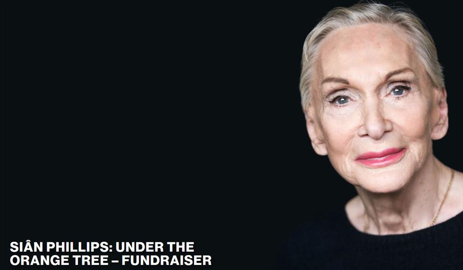 Sian Phillips - Under The Orange Tree