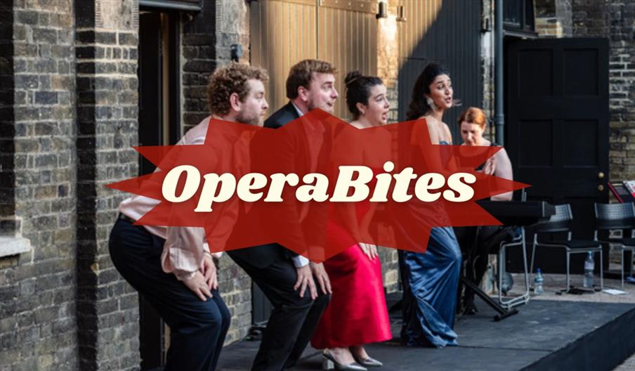Opera Bites, one hour operatic concerts