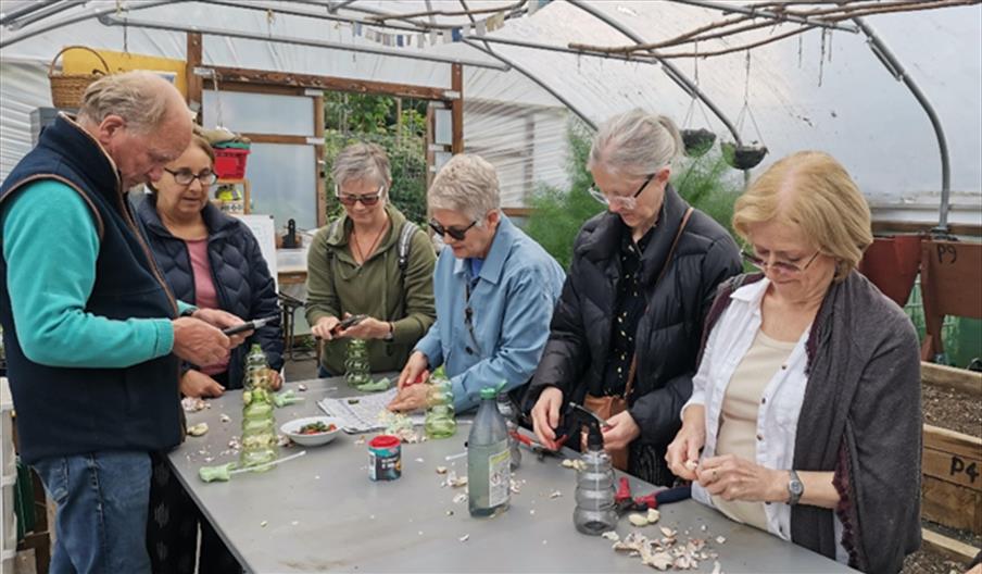 People in a polytunnel collecting seeds